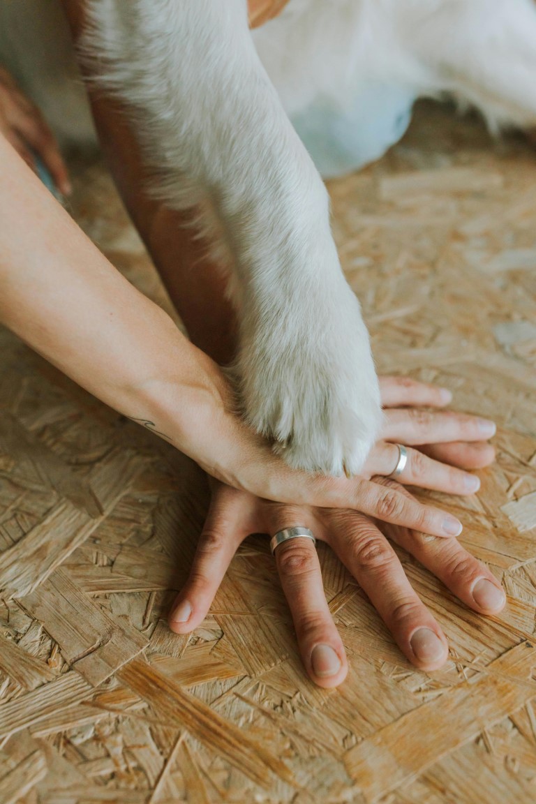 Hands in photo with the grooms hand on the bottom, the brides hand in the middle, and the dogs hand on the top, all within a heart shaped image